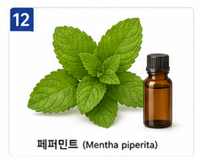 향기치유 이미지 12