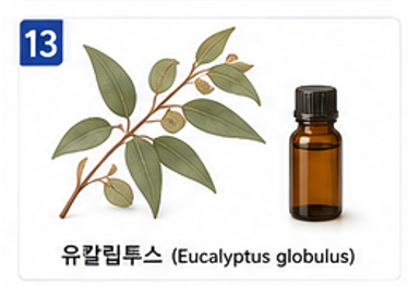 향기치유 이미지 13
