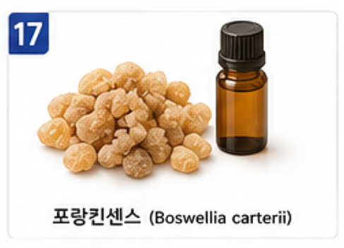 향기치유 이미지 17