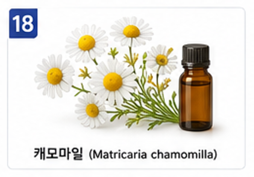 향기치유 이미지 18